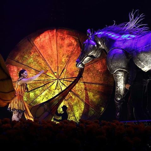 13166681_875523592577002_1121583659_n