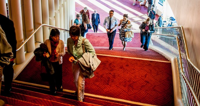 Orange_Tara Luz Stevens